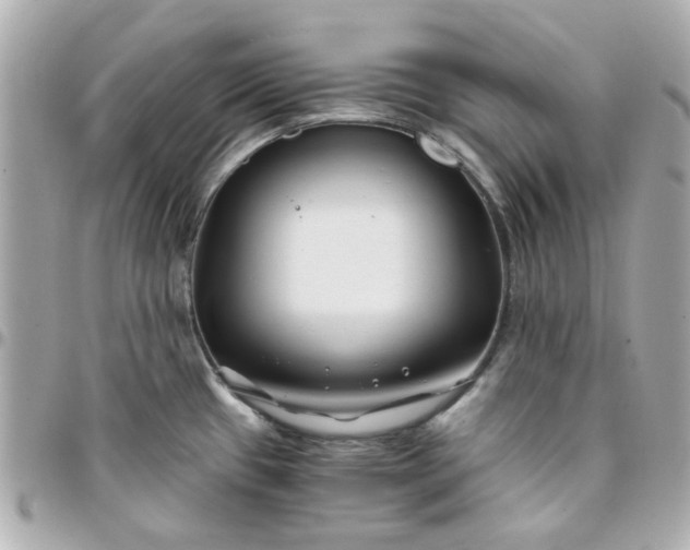 X0000096201433200802011250