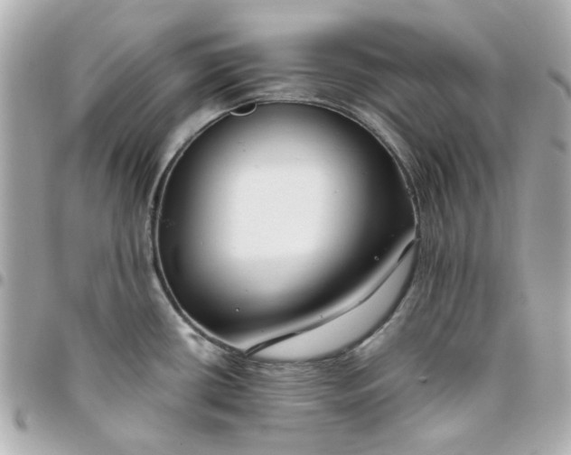 X0000096201434200802011250