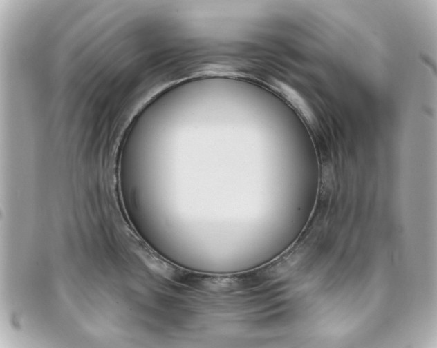 X0000096201435200802011250