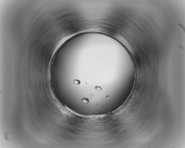 X0000096201436200802011250