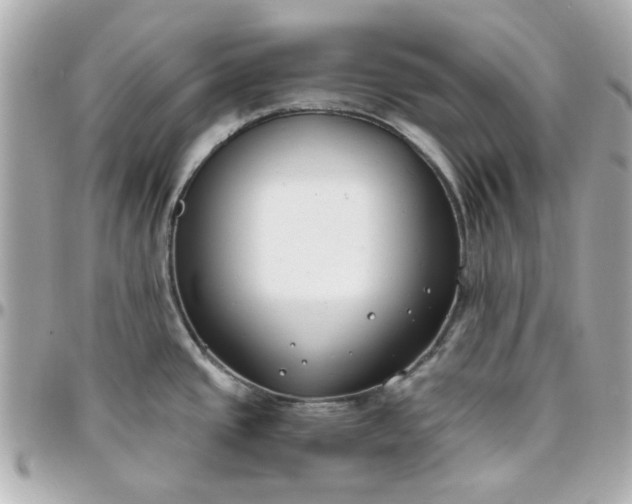 X0000096201437200802011250