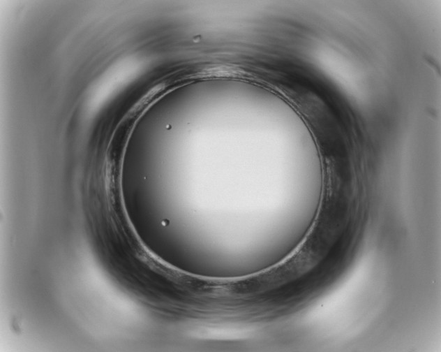 X0000096201438200802011250