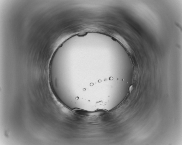 X0000096201439200802011250