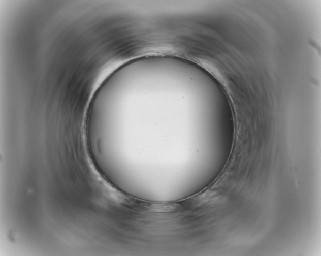 X0000096201440200802011250