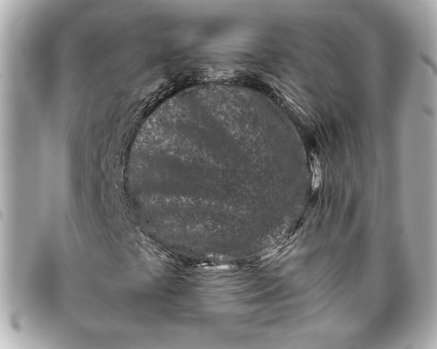 X0000096201441200802011249