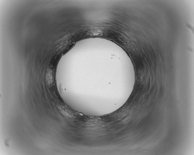 X0000096201442200802011249