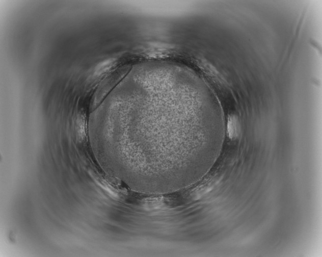 X0000096201444200802011249