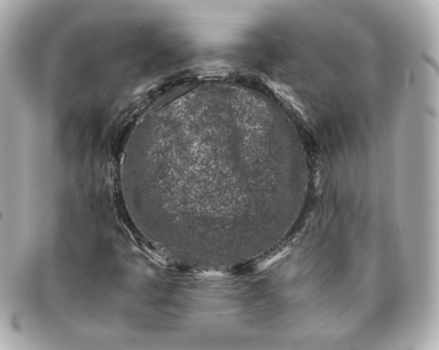 X0000096201445200802011249