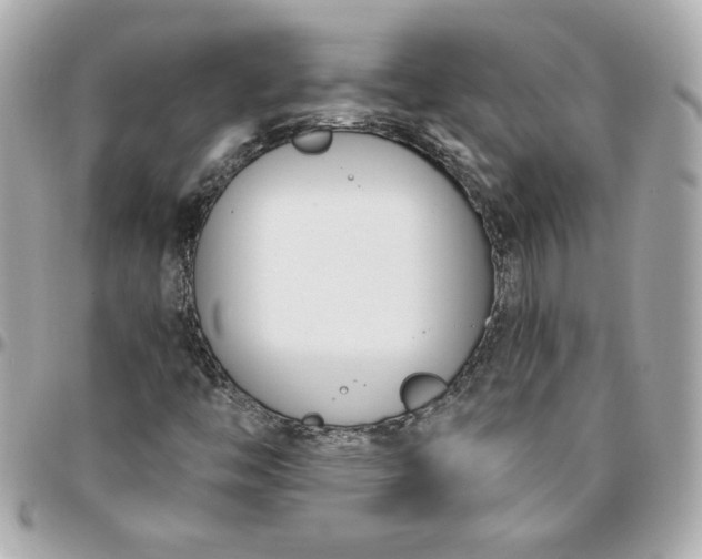 X0000096201446200802011249