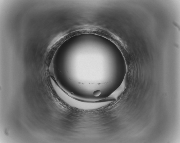 X0000096201448200802011249