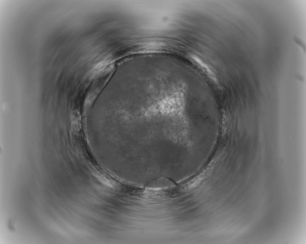 X0000096201449200802011249