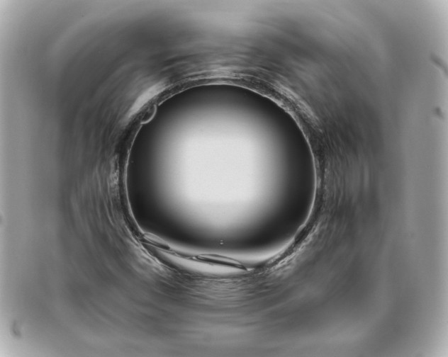 X0000096201450200802011249