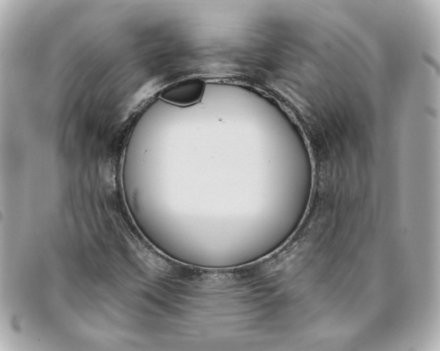 X0000096201451200802011249