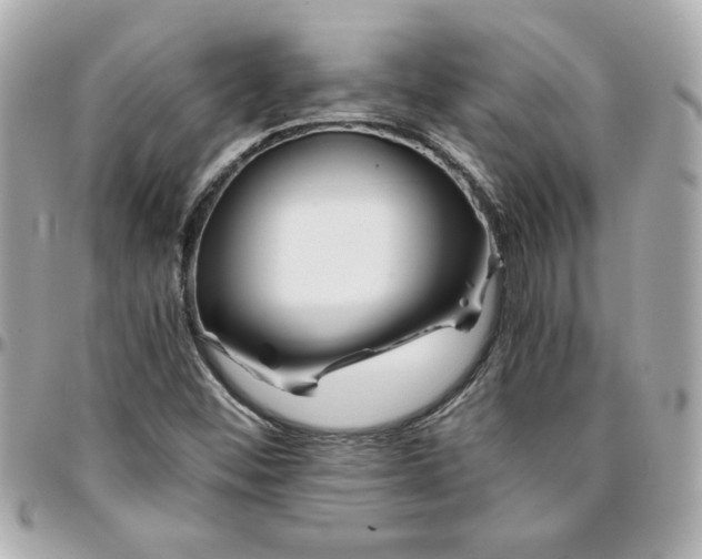 X0000096201452200802011249