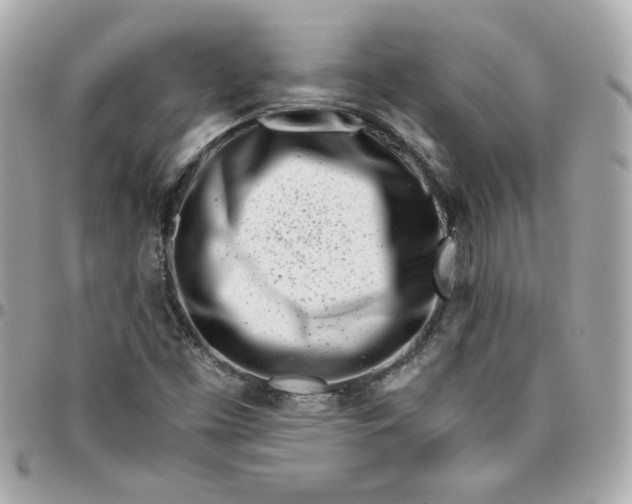 X0000096201453200802011249