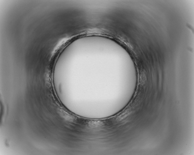 X0000096201454200802011249