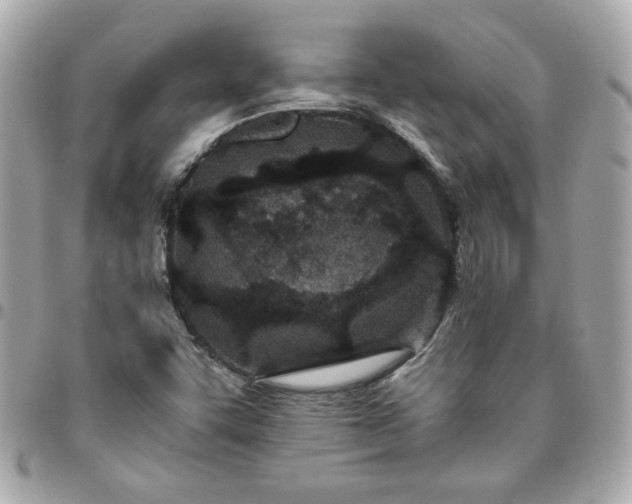 X0000096201455200802011249