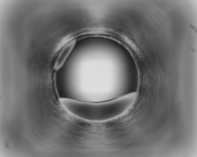 X0000096201456200802011249