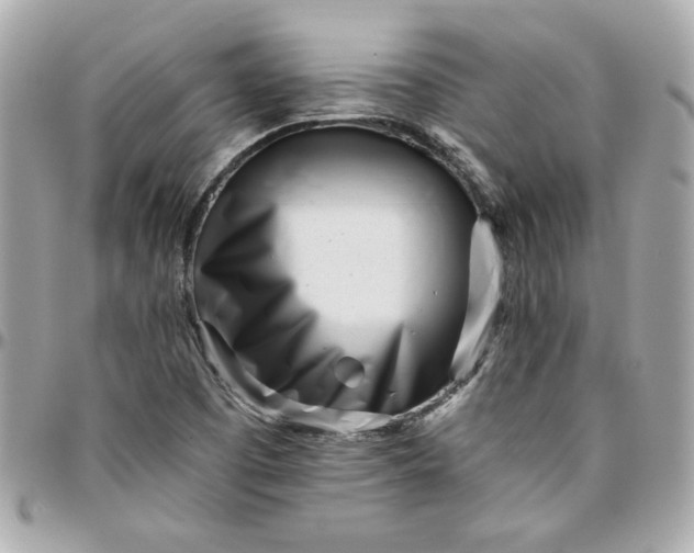 X0000096201457200802011249