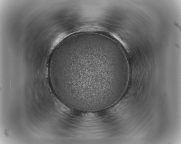 X0000096201459200802011249