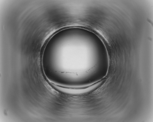 X0000096201460200802011249