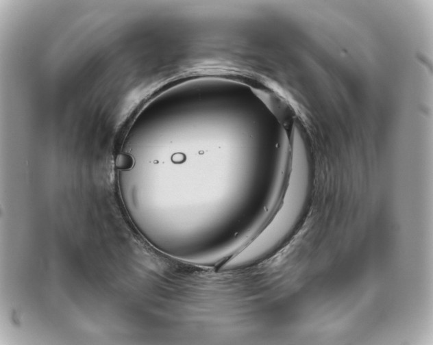 X0000096201461200802011249