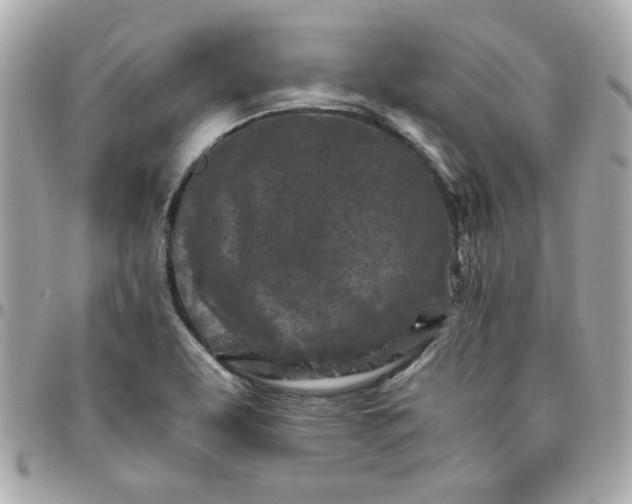 X0000096201463200802011249