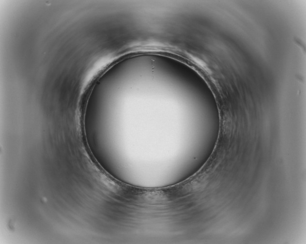 X0000096201464200802011249