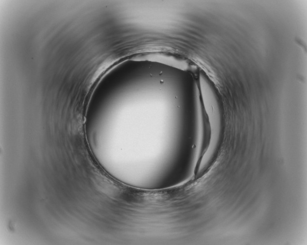 X0000096201465200802011249