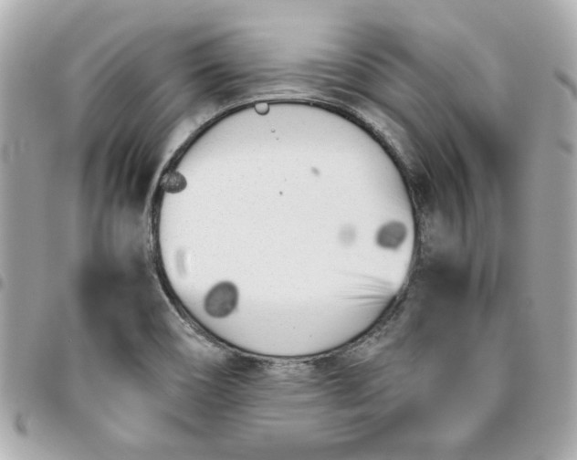 X0000096201466200802011249