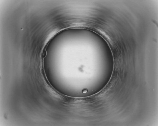 X0000096201467200802011249