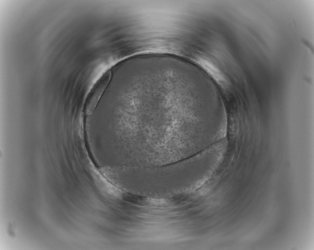 X0000096201468200802011249