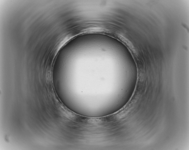 X0000096201473200802011249