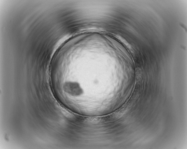 X0000096201474200802011249