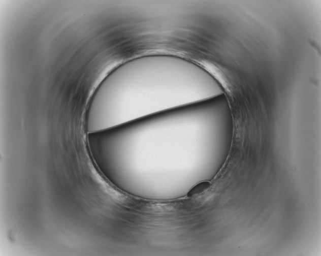 X0000096201476200802011249