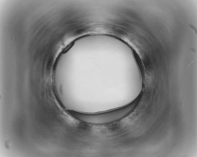 X0000096201477200802011249