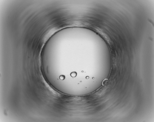 X0000096201479200802011249