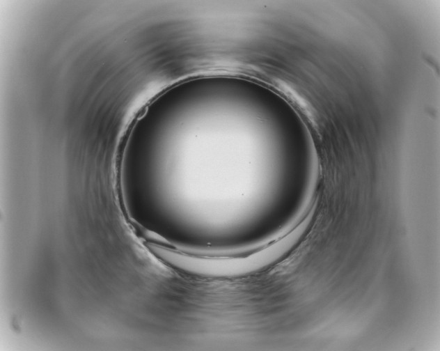 X0000096201480200802011249