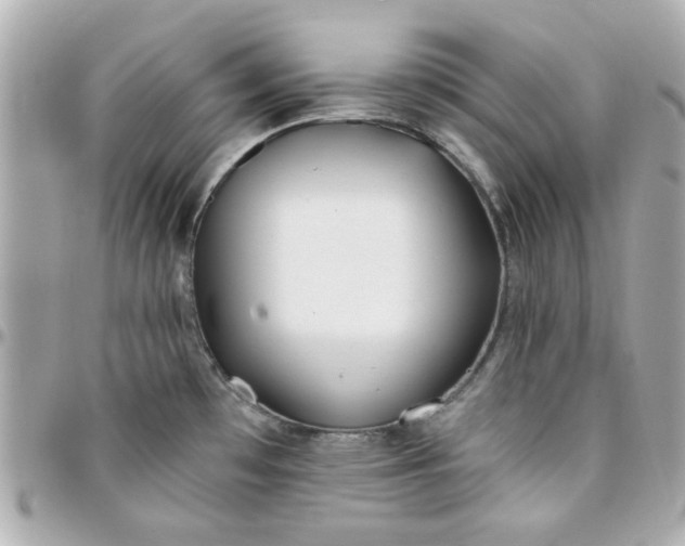 X0000096201481200802011249