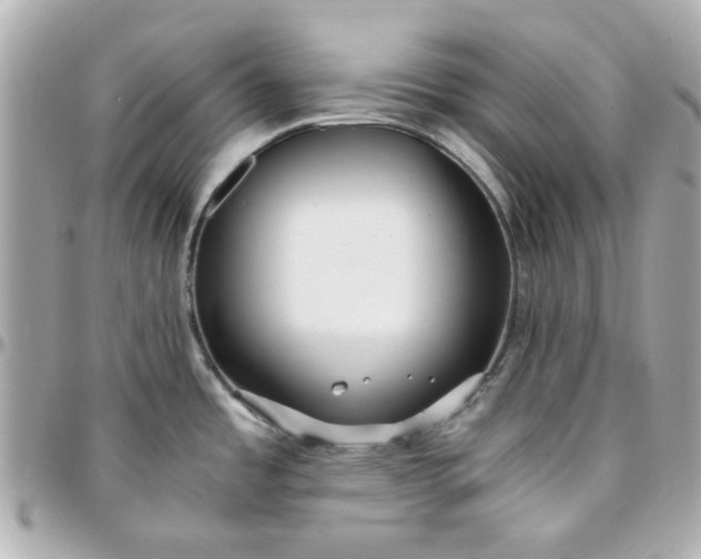 X0000096201485200802011248