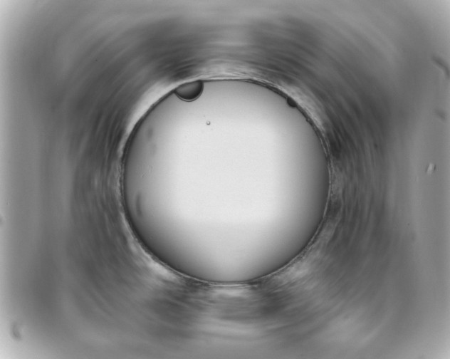 X0000096201486200802011248