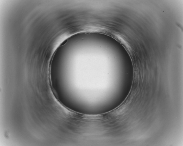 X0000096201487200802011248