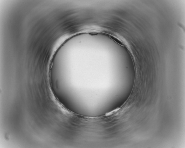 X0000096201488200802011248