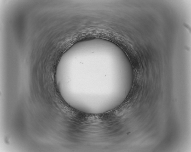 X0000096201489200802011248