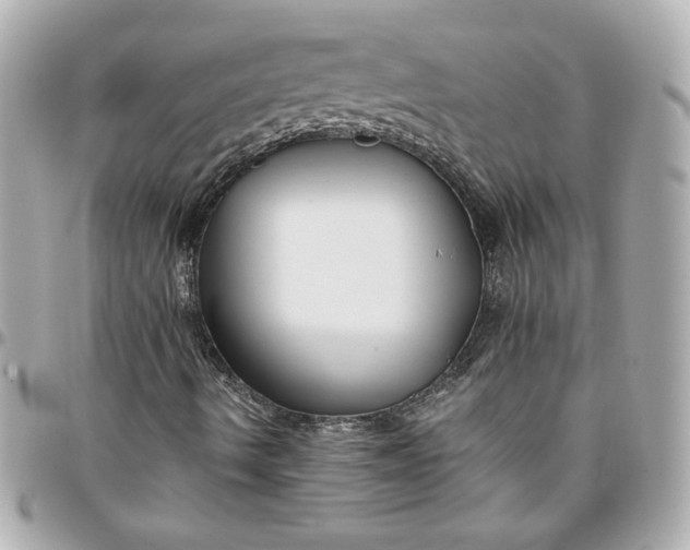 X0000096201490200802011248