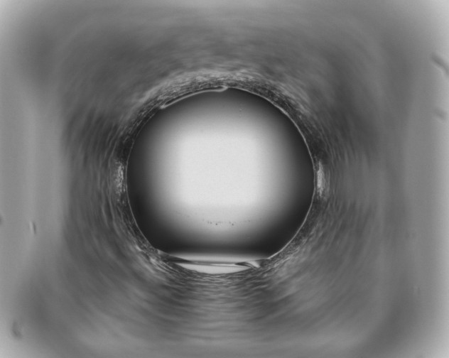 X0000096201492200802011248