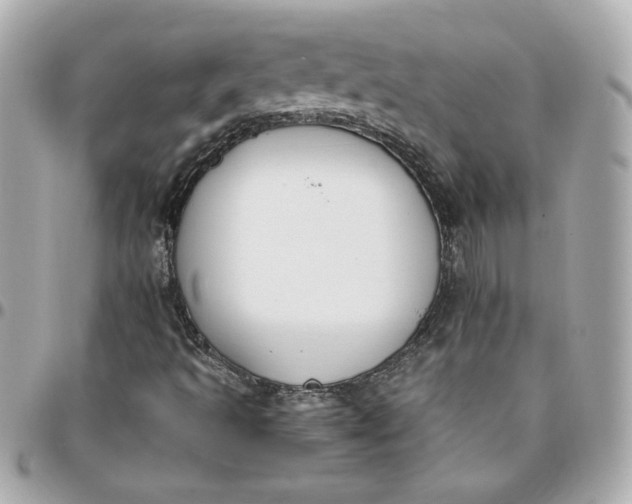 X0000096201493200802011248