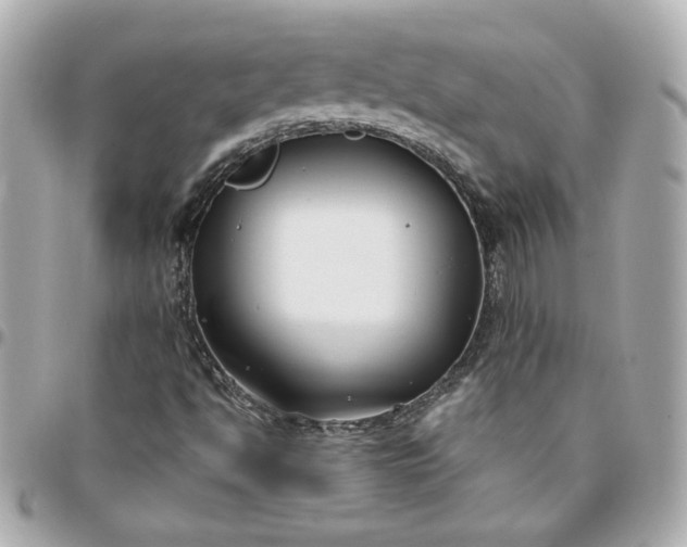 X0000096201494200802011248