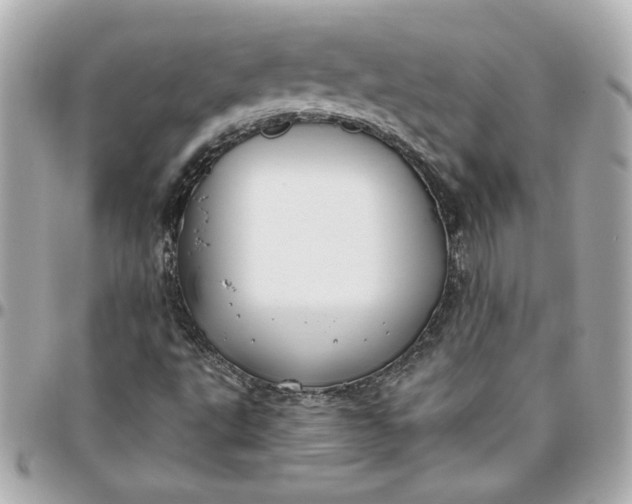 X0000096201495200802011248