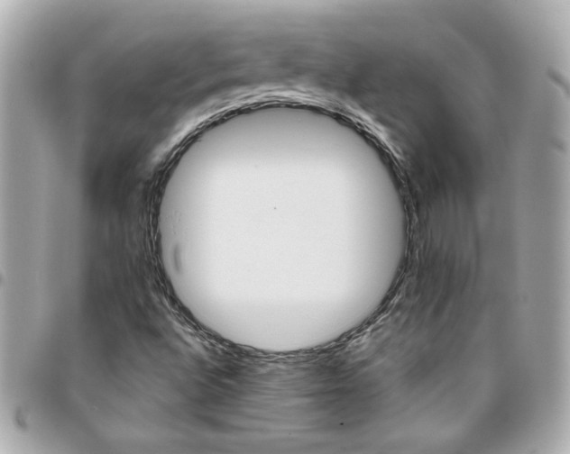 X0000096201496200802011248